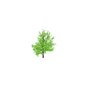 General objects - exterior / Tree / tresen - (4096x4339x4600)