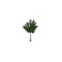 General objects - exterior / Tree / briza_papirova - (3090x3050x4246)
