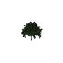 Allgemeine Gegenstände - außen / Bäume / jilm1 - (6426x5496x5680)