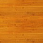 bamboo_f