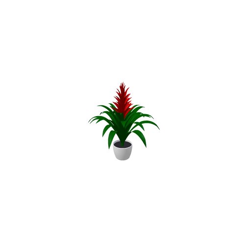 General objects - interior / Flower / Guzmania - (614x651x700)